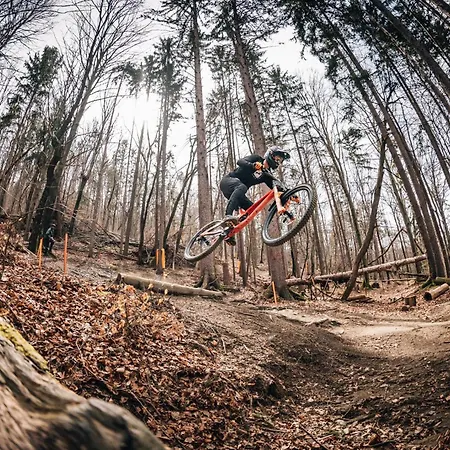 Pohorje Fox Duplex Apartament Maribor