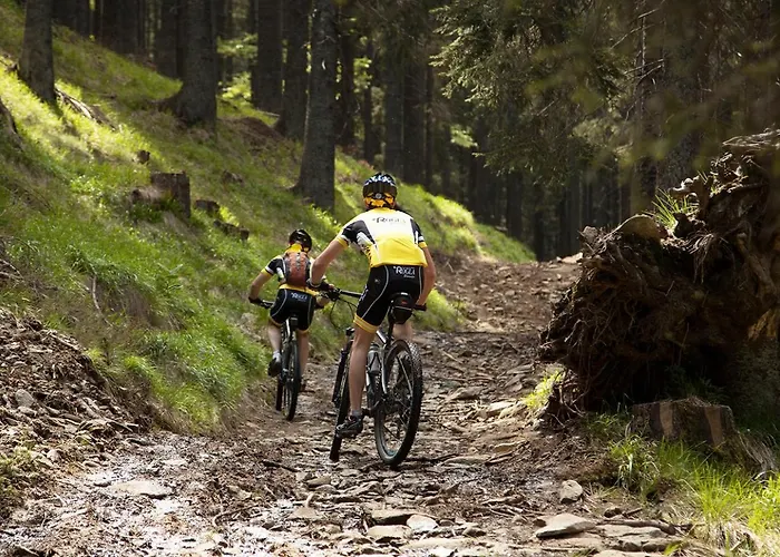 Pohorje Fox Duplex * Maribor