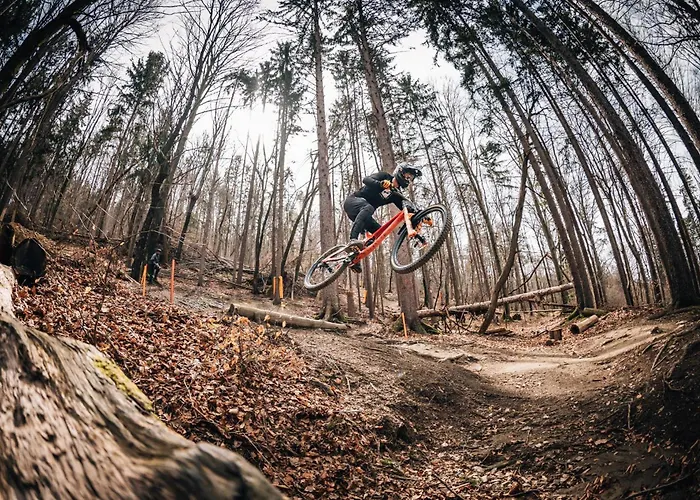 Pohorje Fox Duplex Appartement Maribor